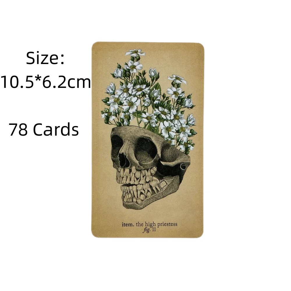 The Antique Anatomy Tarot Card - Card Game Deck のレビューと価格