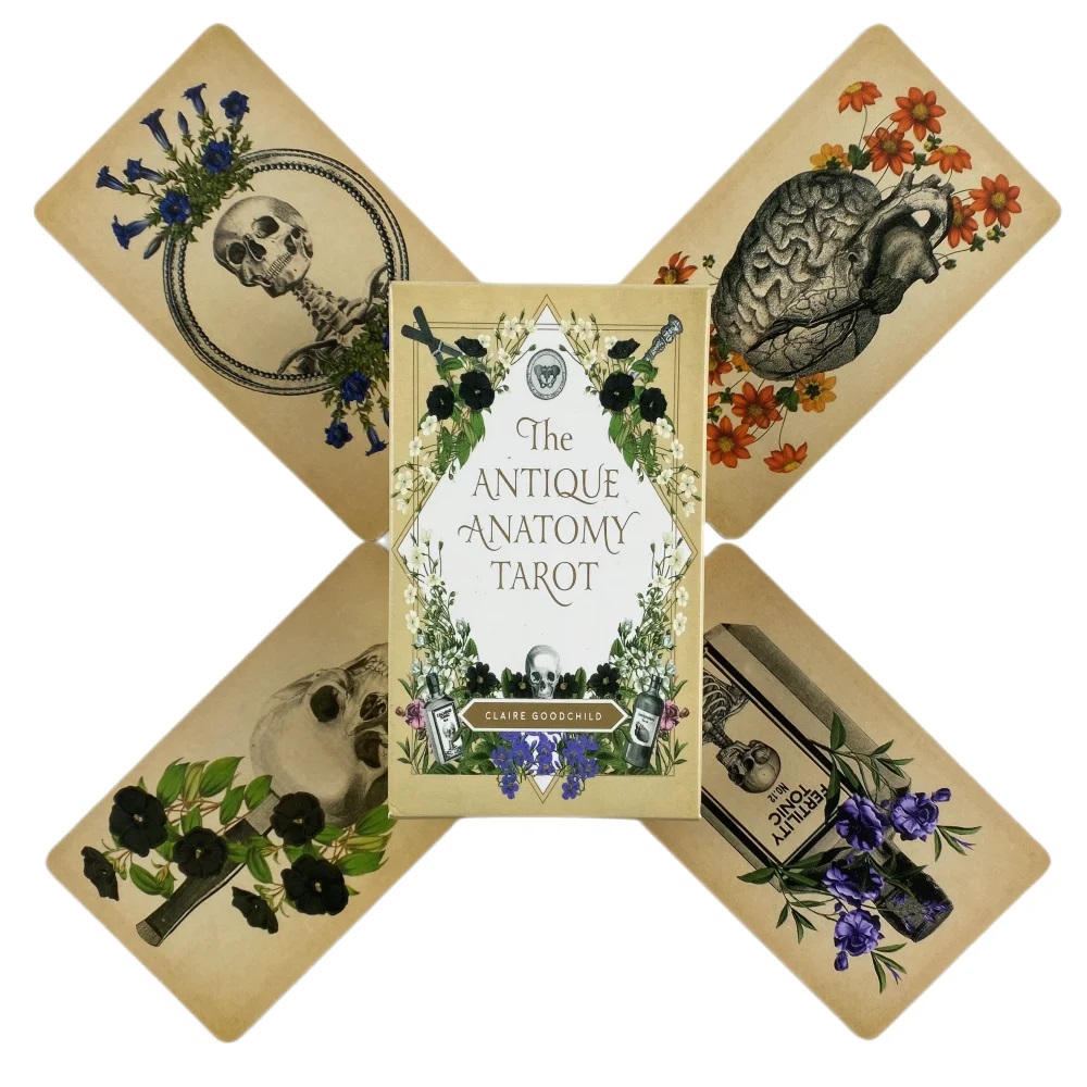 The Antique Anatomy Tarot Card - Card Game Deck のレビューと価格