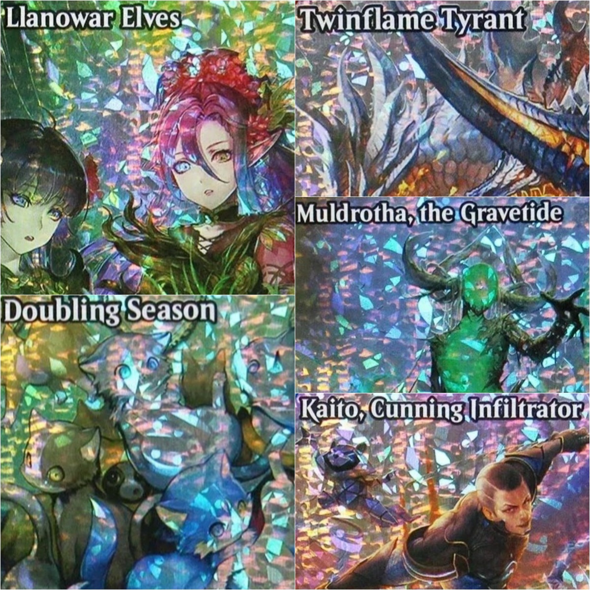 Fracture (FDN) [Llanowar Elves - Board Game Quest のレビューと価格
